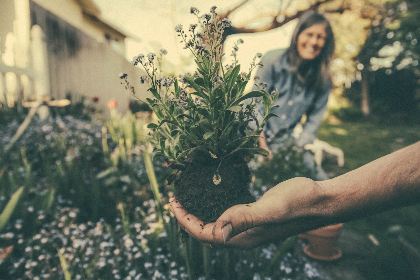 How to Connect with Fellow Gardeners Online